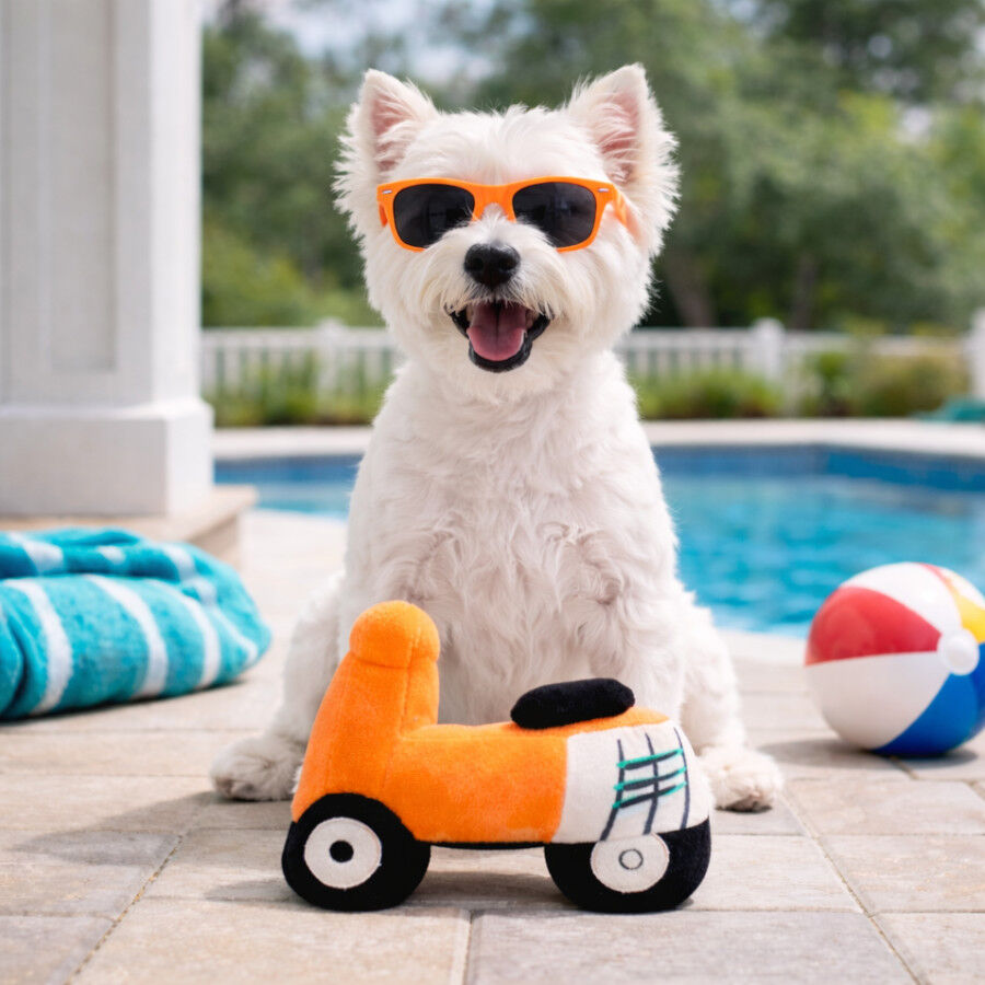 Summer Vibes Dolce Vita Motorbike Brinquedo para c&atilde;es, , large Imagem n&uacute;mero 1